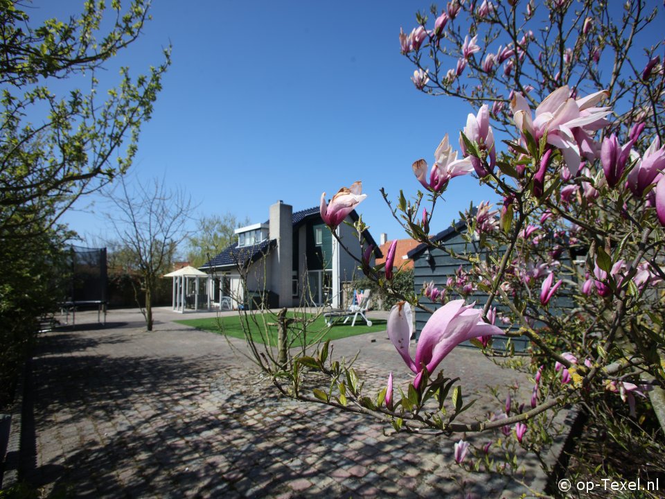 Blom en Co, Ecomare on Texel